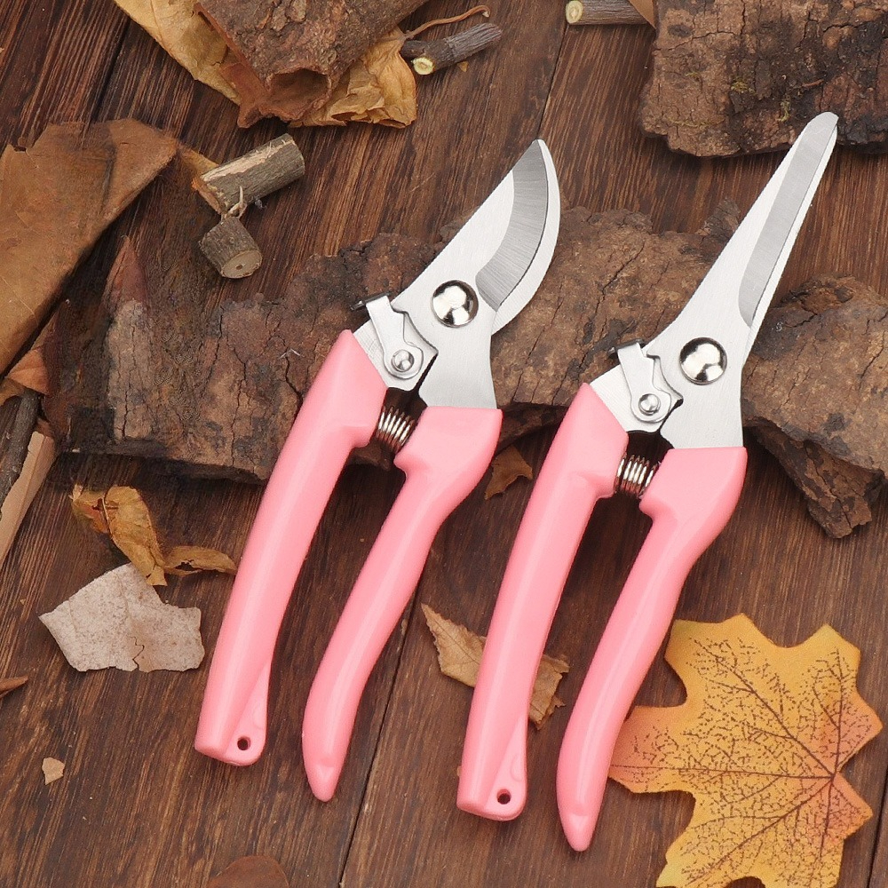 2 Pack Flower Scissors(Pink),  - Pinking Shear Blade review and price